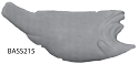 BASS211